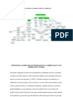 Síntesis de Las Principales Problemáticas Ambientales y Sus Medidas de Control