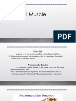 Skeletal Muscle