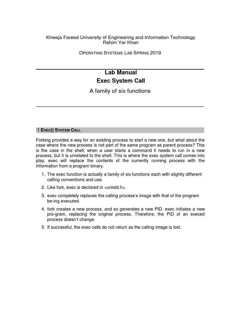 Lab Manual Exec System Call: A Family of Six Functions | PDF | C ...