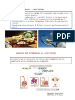 La Nutrición PDF