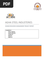 Agha Steel Human Resources 2017 PDF