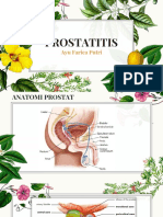 PROSTATITIS (Tentiran Dr. Rinto)