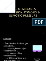 Osmosis Final