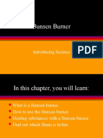 Bunsen Burner: Introducing Science