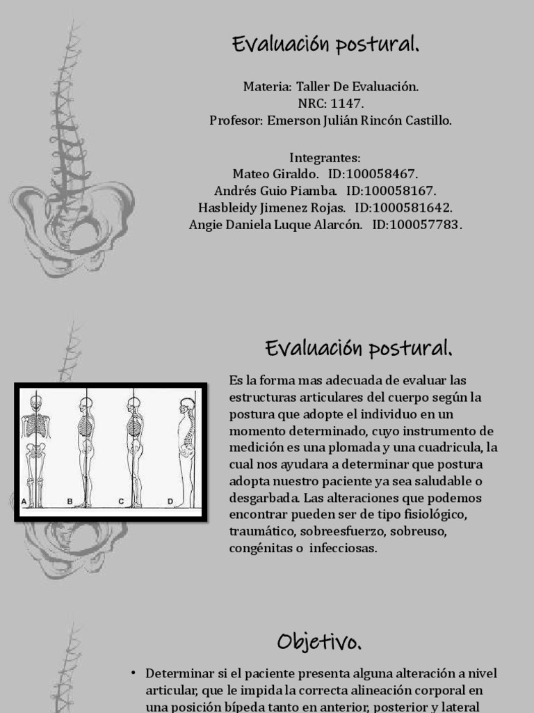 Evaluación Postural con Cuadrícula y Plomada | PDF | Rodilla | Hombro