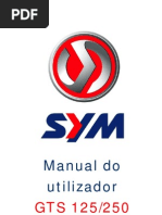 Manual Utilizador GTS125 250 300