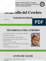 Desarrollo Del Cerebro 