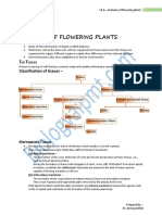 CH 6 Anatomy of Flowering Plants Final