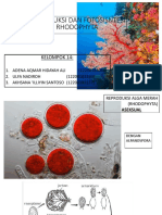 Reproduksi Dan Fotosisntesi Rhodophyta