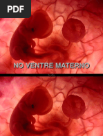 No ventre materno.pps