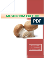 Mashroom Culture PDF