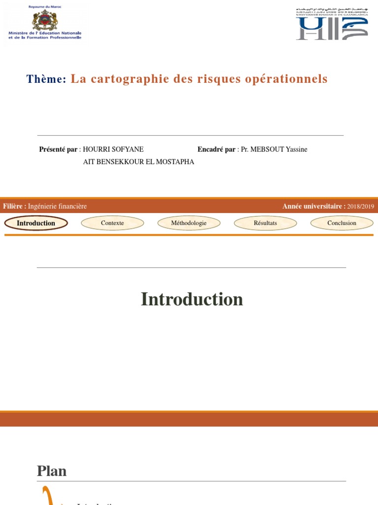 Cartographie des Risques Opérationnels | PDF | Risque opérationnel | Risque