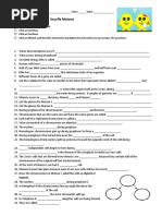 Snurfle Meiosis Another WS