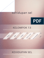 Kehidupan Sel Kel 13