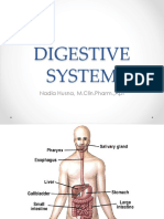 anfisman 3 digestive system-1.pptx