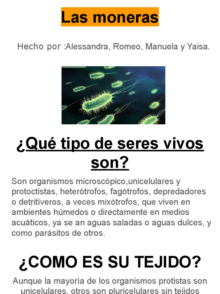 Las Moneras | PDF | Ciencia y matemáticas