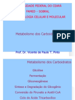 Aula 3 - Metabolismo Dos Carboidratos - Prof