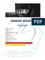 Workout Overview