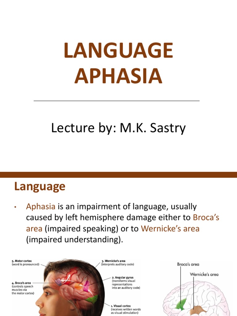 Language Aphasia: Lecture By: M.K. Sastry | PDF | Speech | Cerebral ...