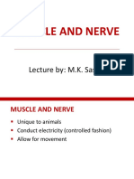 Muscle and Nerve