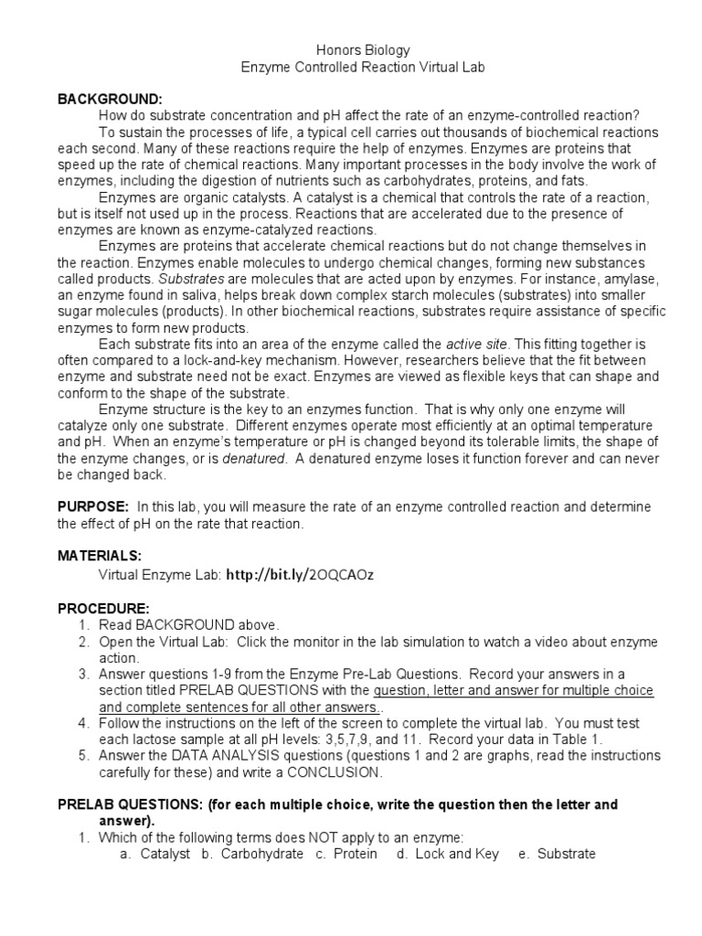 Enzyme Controlled Reaction Virtual Lab Web Pdf Enzyme Chemical Reactions