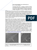 Diatomaceas.pdf