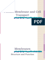Cell Transport Study Guide