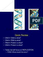 Genetics I.ppt