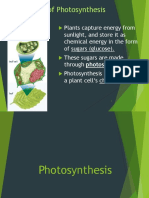 Photosynthesis [Autosaved].ppt