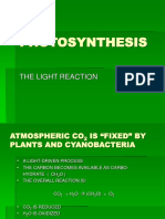 PHOTOSYNTHESIS (1).ppt