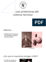 06 Estructuras Protectoras Del Sistema Nervioso