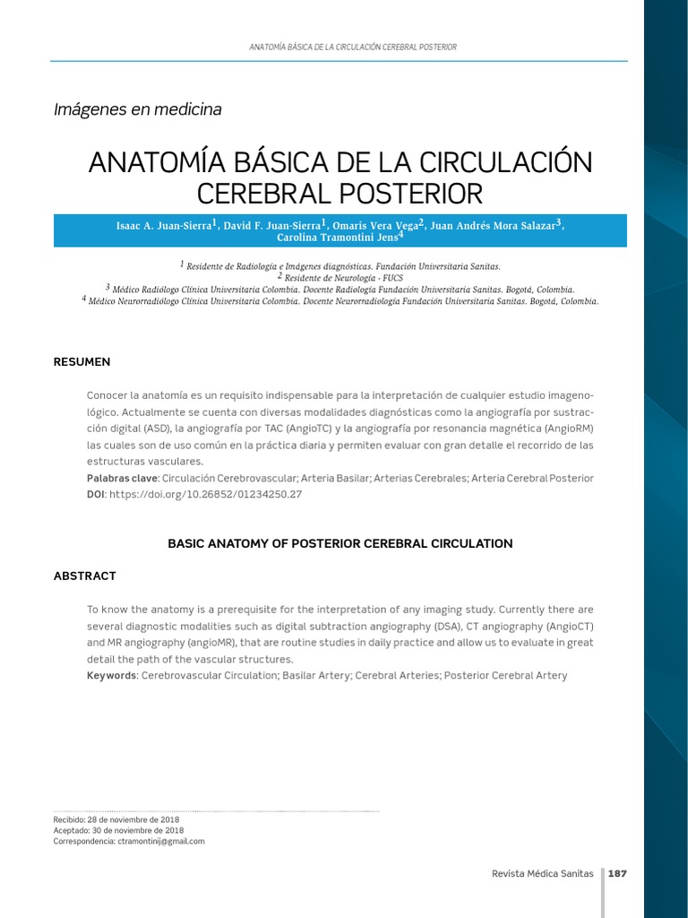 Basic Anatomy and Imaging of the Posterior Cerebral Circulation | PDF ...