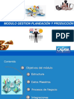 Capacitacion SAP Modulo PP