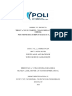 Importacion de Cemento Con Aglomerante Especial y Grafeno PDF