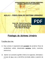 Fisiologia Do Sistema Urinario PDF