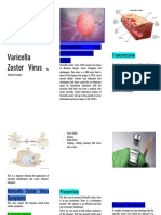 Varicella Zoster Virus Brochure