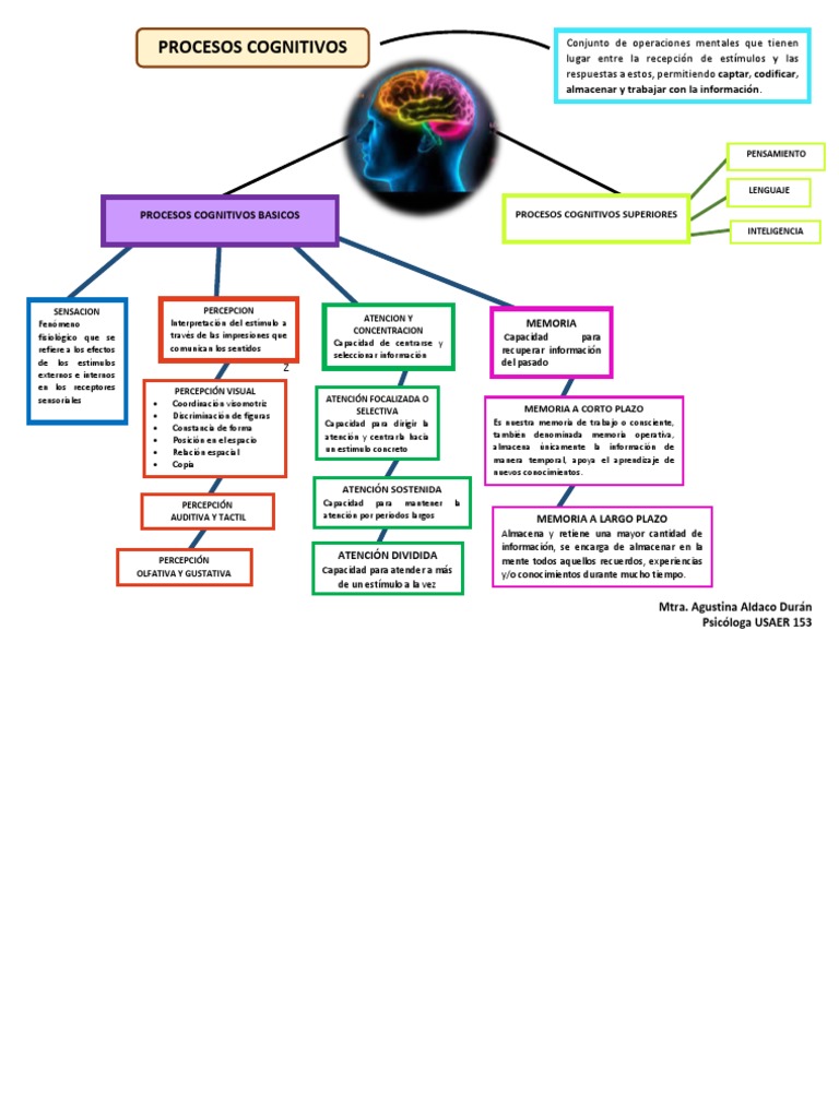 Mapa Mental Procesos Cognitivos. | PDF | Percepción | Memoria