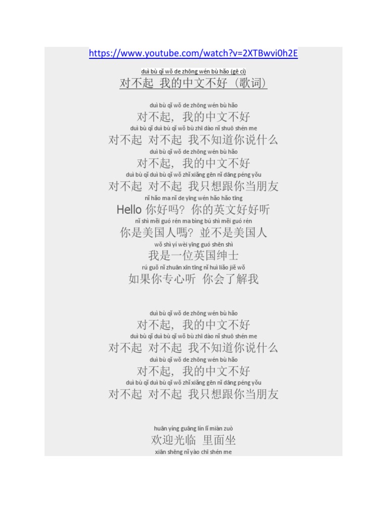 对不起，我的中文不好 PDF | PDF