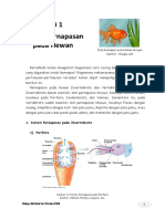 Modul Sistem Respirasi