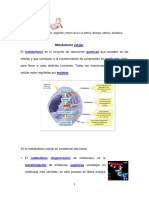 2BiologiaMetabolismocelular.pdf