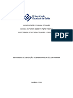 Mecanismos de Obtenção de Energia Pela Célula Humana Edf