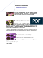 272125701-Guia-de-Cultivo-de-Rosas-Do-Deserto.pdf