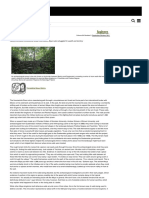 Archaeology Org PDF