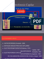 1.13electroforesis 34638