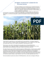 Altas Dosis de Nitrogeno Incrementan La Absorcion de Micronutrientes PDF