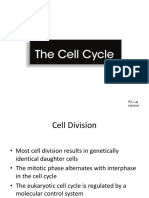 The Cell Cycle