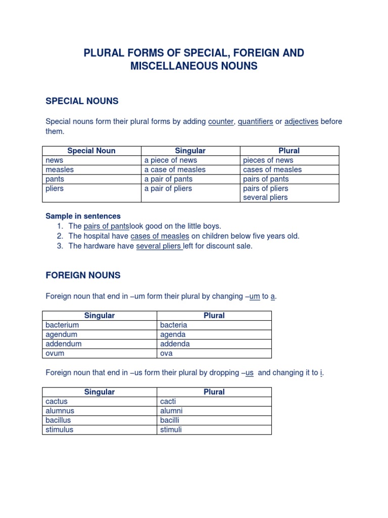 Plural Forms of Special New PDF Addendum Noun