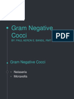 Gram Negative Cocci