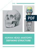01 Human Head Anatomy Defining Structure