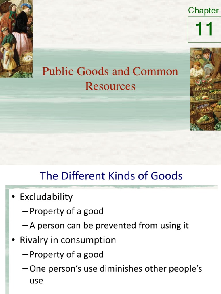 Public Goods vs. Common Resources Explained | PDF | Public Good | Welfare